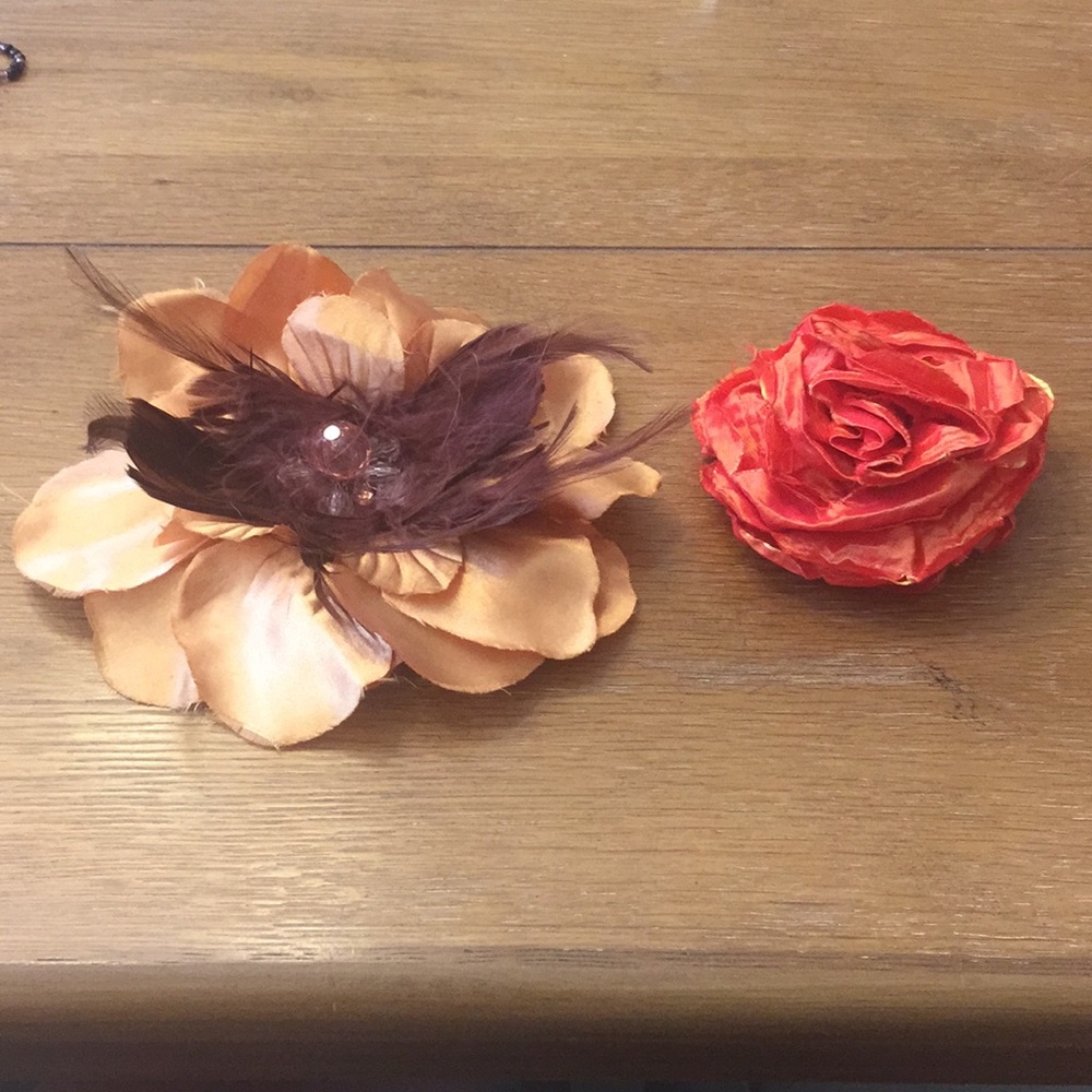2 Clips for Hair, Hat or Clothing